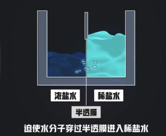 ����͸Ĥʵ����ʾͼ